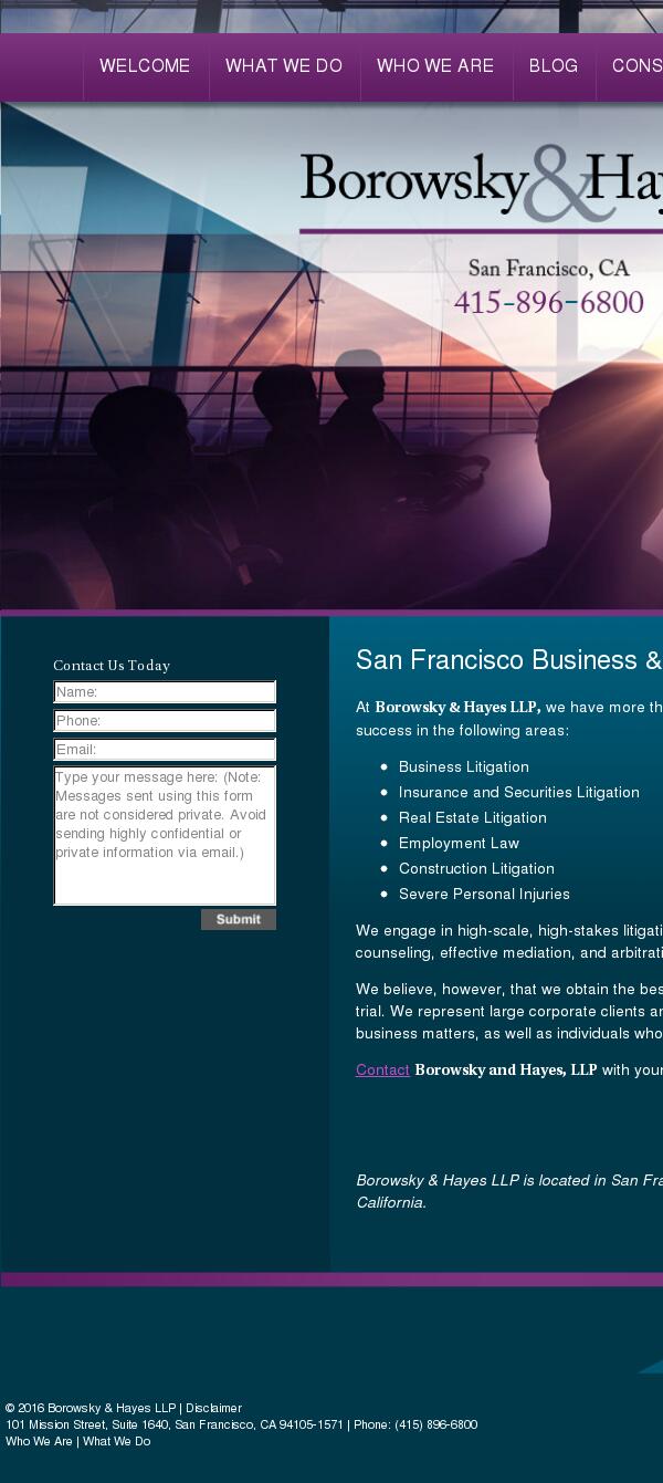 Borowsky & Hayes LLP - San Francisco CA Lawyers